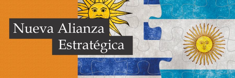 Nueva Alianza Estratégica Profesional