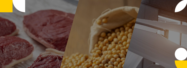 URUGUAY: Comercio Exterior Julio 2025