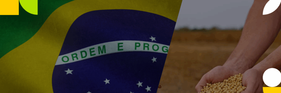 URUGUAY: Comercio Exterior Agosto 2025